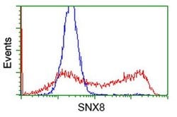 SNX8 Monoclonal Antibody (OTI1D12), TrueMAB , OriGene 30 &mu;L; Unconjugated:Antibodies,