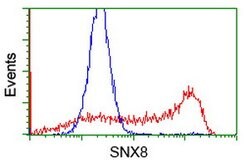 SNX8 Mouse anti-Human, Clone: OTI1E5, lyophilized, TrueMAB 100 &mu;g; Unconjugated:Antibodies,