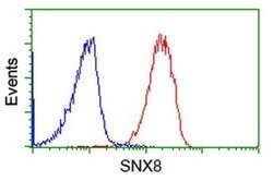 SNX8 Monoclonal Antibody (OTI4F8), TrueMAB , OriGene:Antibodies:Primary