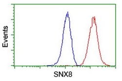 SNX8 Monoclonal Antibody (OTI3C4), TrueMAB , OriGene 100 &mu;L; Unconjugated:Antibodies,