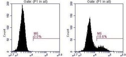 SNX9 Mouse anti-Human, PE, Clone: OTI2F1, liquid, TrueMAB 100 &mu;L; PE:Antibodies,