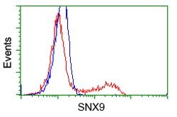 SNX9 Mouse anti-Human, Clone: OTI2A6, lyophilized, TrueMAB 100 &mu;g; Unconjugated:Antibodies,