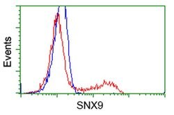 SNX9 Monoclonal Antibody (OTI2A6), TrueMAB , OriGene 100 &mu;L; Unconjugated:Antibodies,