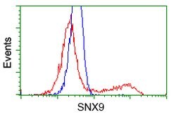 SNX9 Mouse anti-Canine, Human, Clone: OTI2A11, lyophilized, TrueMAB 100