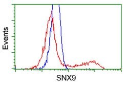 SNX9 Monoclonal Antibody (OTI2A11), TrueMAB , OriGene 30 &mu;L; Unconjugated:Antibodies,
