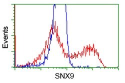 SNX9 Mouse anti-Canine, Human, Clone: OTI2B5, lyophilized, TrueMAB 100
