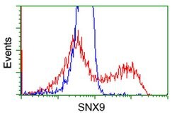 SNX9 Monoclonal Antibody (OTI2B5), TrueMAB , OriGene 100 &mu;L; Unconjugated:Antibodies,