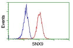 SNX9 Mouse anti-Canine, Human, Clone: OTI2B5, lyophilized, TrueMAB 100