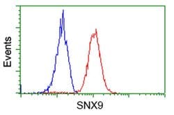SNX9 Monoclonal Antibody (OTI2B5), TrueMAB , OriGene 100 &mu;L; Unconjugated:Antibodies,