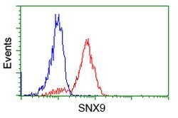 SNX9 Mouse anti-Canine, Human, Clone: OTI2B5, lyophilized, TrueMAB 100