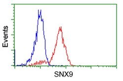 SNX9 Monoclonal Antibody (OTI2B5), TrueMAB , OriGene 100 &mu;L; Unconjugated:Antibodies,