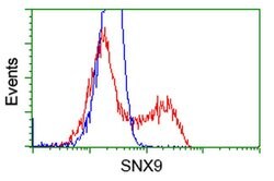 SNX9 Monoclonal Antibody (OTI2E1), TrueMAB , OriGene 30 &mu;L; Unconjugated:Antibodies,