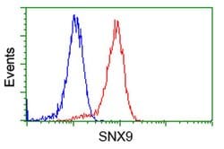 SNX9 Monoclonal Antibody (OTI2E1), TrueMAB , OriGene 30 &mu;L; Unconjugated:Antibodies,
