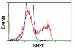 SNX9 Mouse anti-Human, Clone: OTI2F1, lyophilized, TrueMAB 100 &mu;g | Buy Online | OriGene | Fisher Scientific