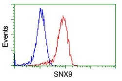 SNX9 Mouse anti-Human, Clone: OTI2F1, liquid, TrueMAB 30 &mu;L; Unconjugated:Antibodies,