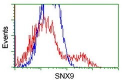 SNX9 Mouse anti-Human, Clone: OTI2G4, lyophilized, TrueMAB 100 &mu;g; Unconjugated:Antibodies,