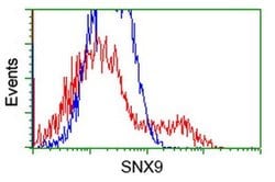 SNX9 Monoclonal Antibody (OTI2G4), TrueMAB , OriGene 30 &mu;L; Unconjugated:Antibodies,