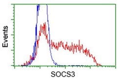 SOCS3 Monoclonal Antibody (OTI6F3), TrueMAB , OriGene 100 &mu;L; Unconjugated:Antibodies,