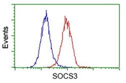 SOCS3 Monoclonal Antibody (OTI6F3), TrueMAB , OriGene 100 &mu;L; Unconjugated:Antibodies,