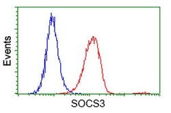 SOCS3 Mouse anti-Human, Clone: OTI3B8, lyophilized, TrueMAB 100 &mu;g;