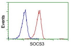 SOCS3 Mouse anti-Human, Clone: OTI3B8, lyophilized, TrueMAB 100 &mu;g;
