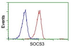 SOCS3 Monoclonal Antibody (OTI3B8), TrueMAB , OriGene 100 &mu;L; Unconjugated:Antibodies,