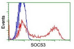 SOCS3 Monoclonal Antibody (OTI7E10), TrueMAB , OriGene:Antibodies:Primary