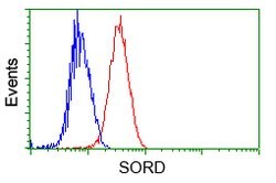 SORD Mouse anti-Human, Clone: OTI9E7, lyophilized, TrueMAB 100 &mu;g; Unconjugated:Antibodies,