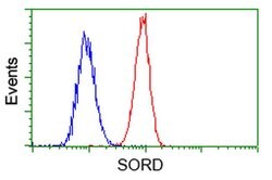 SORD Mouse anti-Human, Clone: OTI17E7, liquid, TrueMAB 100 &mu;L; Unconjugated:Antibodies,