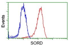 SORD Mouse anti-Human, Clone: OTI17E7, liquid, TrueMAB 100 &mu;L; Unconjugated:Antibodies,