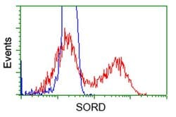 SORD Mouse anti-Human, Clone: OTI9G9, liquid, TrueMAB 100 &mu;L; Unconjugated:Antibodies,