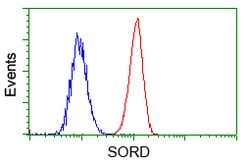 SORD Mouse anti-Human, Clone: OTI9G9, lyophilized, TrueMAB 100 &mu;g; Unconjugated:Antibodies,