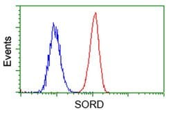 SORD Mouse anti-Human, Clone: OTI9G9, liquid, TrueMAB 100 &mu;L; Unconjugated:Antibodies,