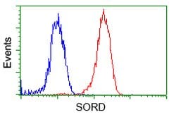 SORD Mouse anti-Human, Clone: OTI9G9, lyophilized, TrueMAB 100 &mu;g; Unconjugated:Antibodies,