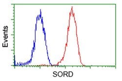 SORD Mouse anti-Human, Clone: OTI9G9, liquid, TrueMAB 100 &mu;L; Unconjugated:Antibodies,