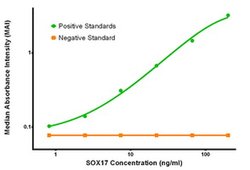 SOX17 Mouse anti-Human, Clone: OTI5G6, liquid, TrueMAB 100 &mu;g; Unconjugated:Antibodies,