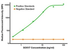 SOX17 Mouse anti-Human, Clone: OTI5G6, liquid, TrueMAB 100 &mu;g; Unconjugated:Antibodies,