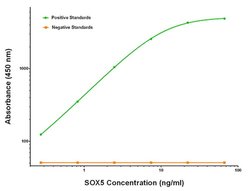 SOX5 Mouse anti-Human, Biotin, Clone: OTI6B5, liquid, TrueMAB 50 &mu;g;