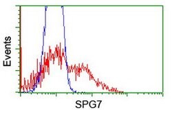 SPG7 Mouse anti-Human, Clone: OTI1D3, lyophilized, TrueMAB 100 &mu;g; Unconjugated:Antibodies,