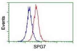 SPG7 Mouse anti-Human, Clone: OTI3H10, lyophilized, TrueMAB 100 &mu;g;
