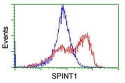 SPINT1 Monoclonal Antibody (OTI1D2), TrueMAB , OriGene 100 &mu;L; Unconjugated:Antibodies,