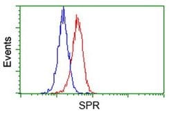 SPR Mouse anti-Human, Clone: OTI3D6, liquid, TrueMAB 100 &mu;L; Unconjugated:Antibodies,