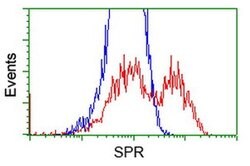 SPR Monoclonal Antibody (OTI3A9), TrueMAB , OriGene:Antibodies:Primary