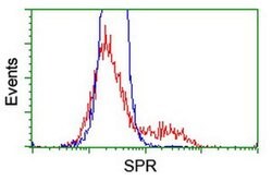 SPR Monoclonal Antibody (OTI2C6), TrueMAB , OriGene 30 &mu;L; Unconjugated:Antibodies,