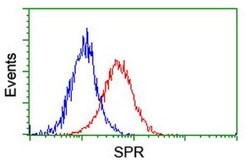 SPR Monoclonal Antibody (OTI2C6), TrueMAB , OriGene 30 &mu;L; Unconjugated:Antibodies,