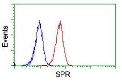 SPR Monoclonal Antibody (OTI2C6), TrueMAB , OriGene 30 &mu;L; Unconjugated:Antibodies,