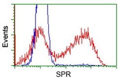 SPR Mouse anti-Human, Rat, Clone: OTI4F5, liquid, TrueMAB 100 &mu;L; Unconjugated:Antibodies,