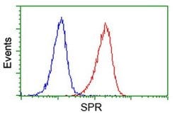 SPR Mouse anti-Human, Rat, Clone: OTI4F5, liquid, TrueMAB 100 &mu;L; Unconjugated:Antibodies,