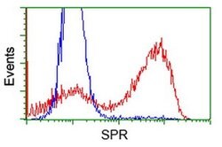 SPR Monoclonal Antibody (OTI3E3), TrueMAB , OriGene:Antibodies:Primary