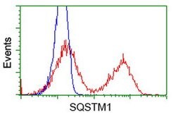 SQSTM1 Mouse anti-Human, Clone: OTI5A2, lyophilized, TrueMAB 100 &mu;g;